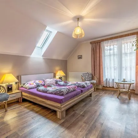 Na Hradcanech Guest house *